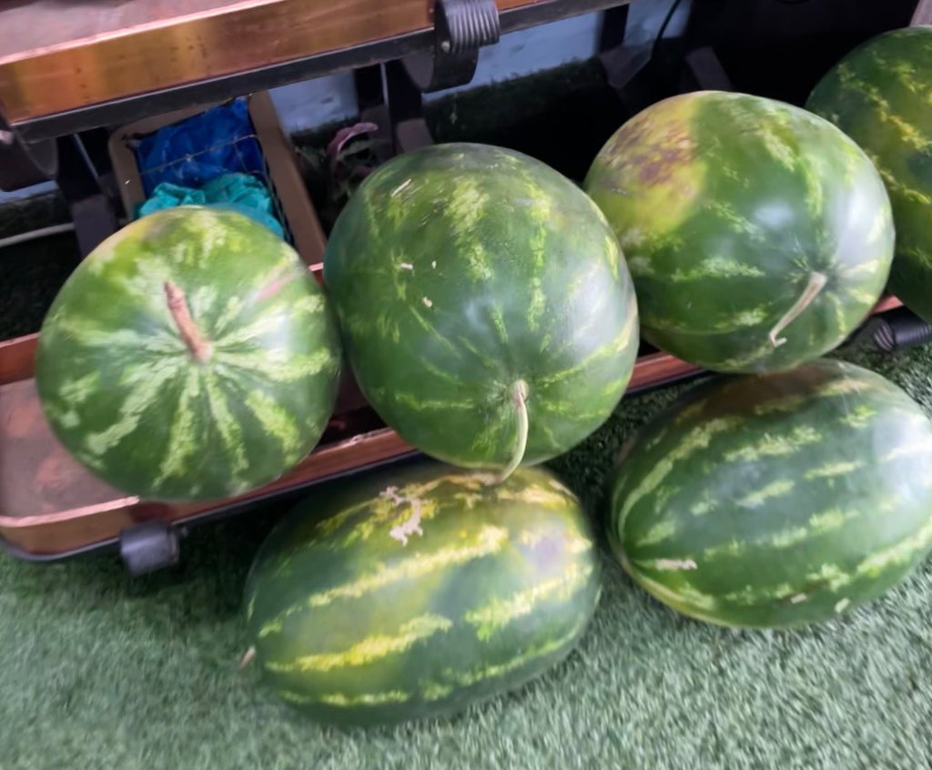 Red Seeded Watermelon