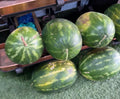 Red Seeded Watermelon